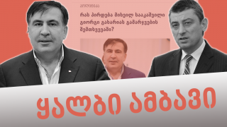 Fake News:  Mikheil Saakashvili Offers Prime Minister’s Position to Giorgi Gakharia in the Case of Victory