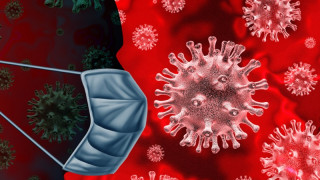 Coronavirus Pandemic – What Should We Expect?