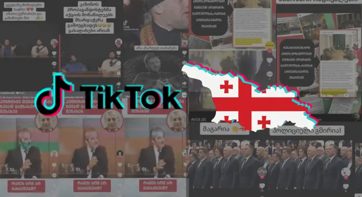 Analysis of TikTok accounts operating in the Georgian market