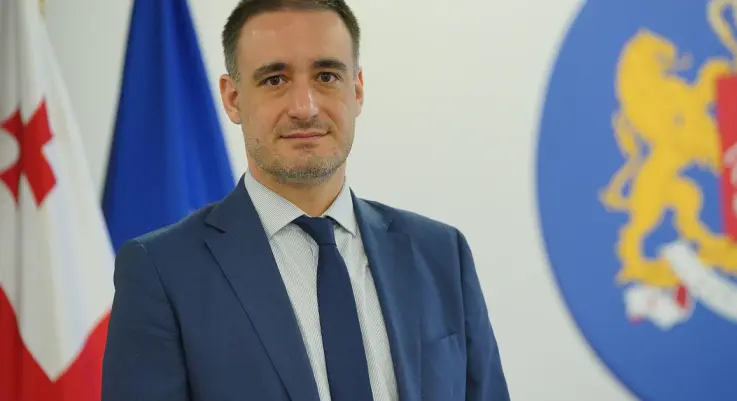 საქართველოში ეკონომიკური ზრდის ტემპი, ევროკავშირის სხვა კანდიდატ ქვეყნებთან შედარებით, ორჯერ მაღალია